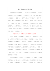 共青团2022年工作要点