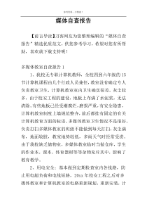媒体自查报告