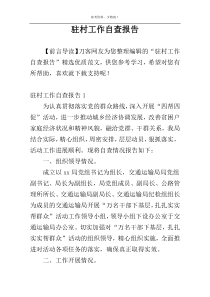 驻村工作自查报告