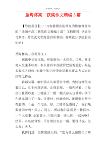 圣陶杯高二获奖作文精编3篇