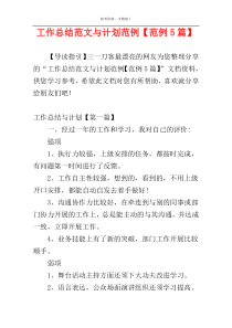 工作总结范文与计划范例【范例5篇】