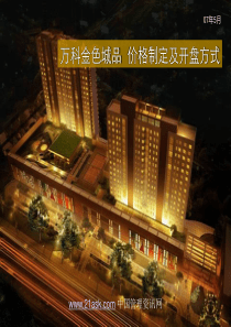XXXX万科金色城品价格制定及开盘方式(2)