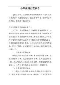 公车使用自查报告