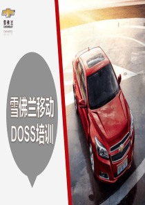 移动DOSS培训