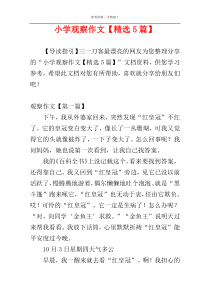 小学观察作文【精选5篇】