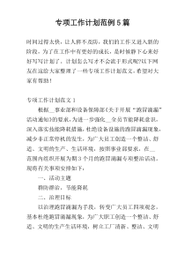 专项工作计划范例5篇