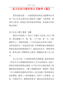 实习生实习报告范文【参考4篇】