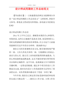 设计师试用期的工作总结范文