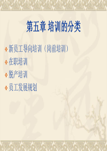 第五章培训的分类