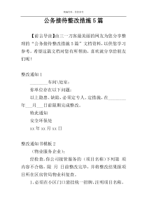 公务接待整改措施5篇
