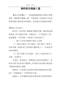 调研报告精编5篇