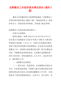 巡察整改工作组织落实情况报告(通用5篇)