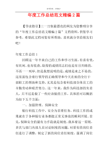 年度工作总结范文精编2篇