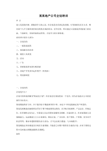 某某地产公司企划培训