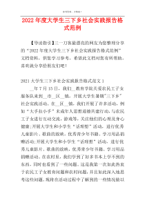 2022年度大学生三下乡社会实践报告格式范例