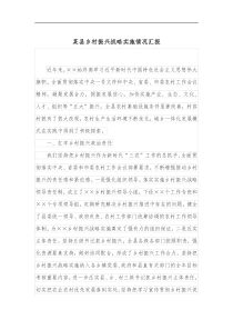 某县乡村振兴战略实施情况汇报