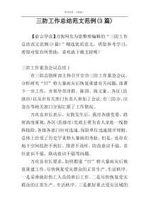 三防工作总结范文范例(3篇)