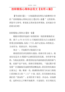 挂职锻炼心得体会范文【实用4篇】