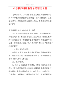 小学教师继续教育总结精选4篇