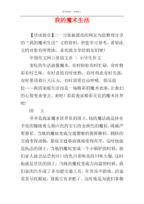 我的魔术生活