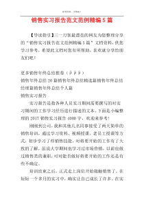 销售实习报告范文范例精编5篇