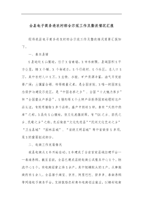 全县电子商务进农村综合示范工作及整改情况汇报