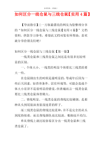 如何区分一线仓鼠与三线仓鼠【实用4篇】