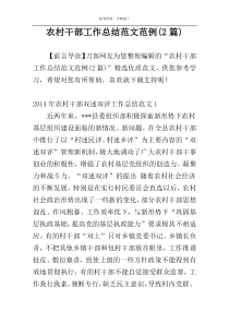 农村干部工作总结范文范例(2篇)