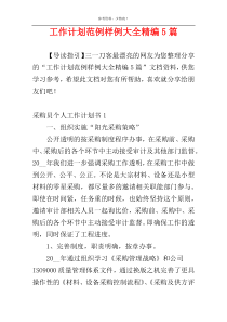 工作计划范例样例大全精编5篇
