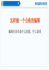网站编辑和seo培训资料