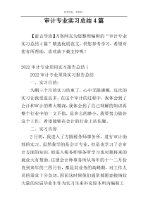 审计专业实习总结4篇