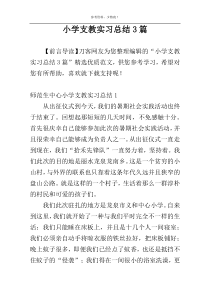 小学支教实习总结3篇