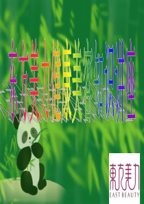 美容知识培训大全（PPT69页)