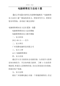 电脑销售实习总结5篇