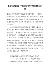 县级内部审计工作存在的主要问题与对策