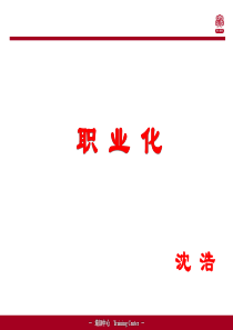 职业化培训版