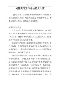 城管实习工作总结范文3篇