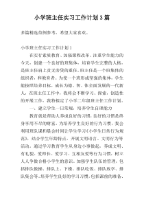 小学班主任实习工作计划3篇