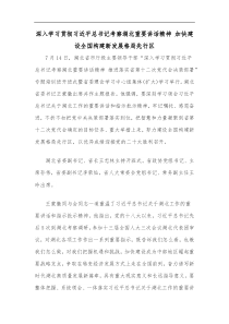 深入学习贯彻习近平总书记考察湖北重要讲话精神加快建设全国构建新发展格局先行区