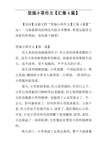 坚强小草作文【汇集4篇】