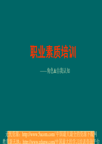 职业素质培训角色&自我认知
