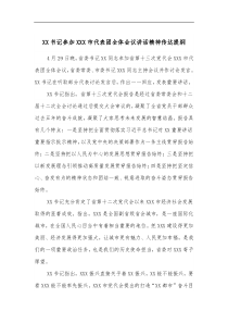 XX书记参加XXX市代表团全体会议讲话精神传达提纲