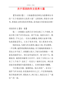 关于项羽的作文优秀5篇