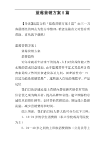 蓝莓营销方案5篇