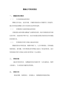 腾森培训规划