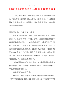[800字]蓦然回首初三作文【最新5篇】
