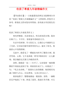 收获了尊重九年级精编作文