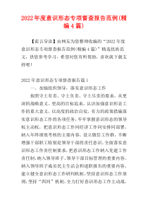 意识形态专项督查报告范例2022年度(精编4篇)