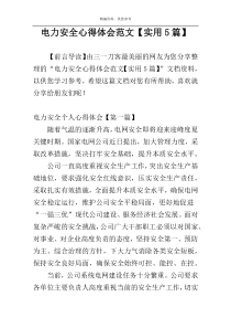 电力安全心得体会范文【实用5篇】