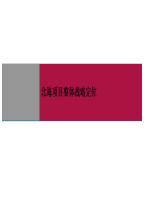 世联_广西北海老城区地产项目整体战略定位_56_住宅
